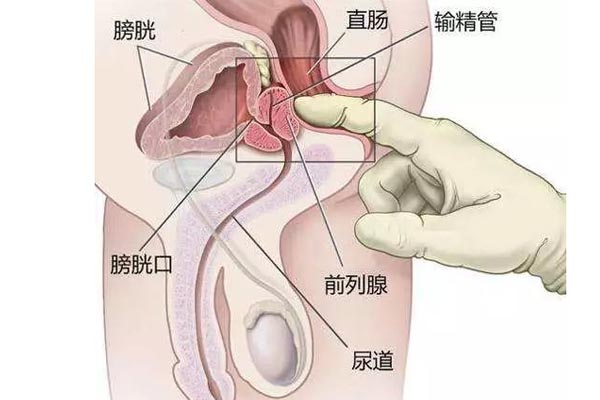 男性疾病治療醫(yī)院