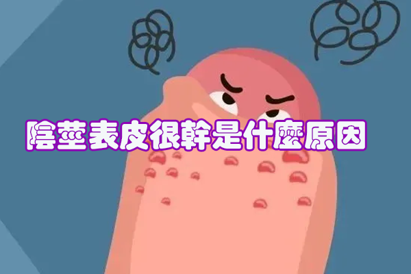 陰莖表皮很干是什么原因   